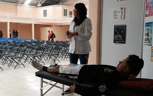 Consulta 